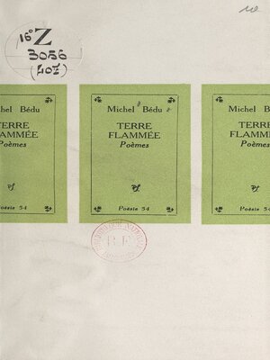 cover image of Terre flammée